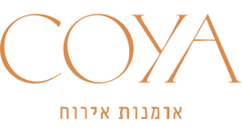 לוגו שקוף